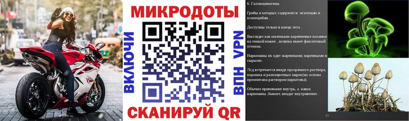 магазин  наркотиков  Павловский Посад  Псилоцибиновые грибы Cubensis 